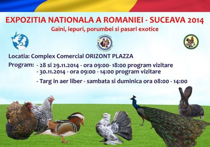 180595 - S-Album 1 Expozitie Nationala a Romaniei Suceava 2014