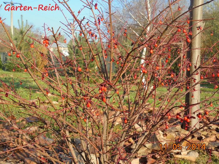 DSC02001 - Parcul nostru-Unser Park