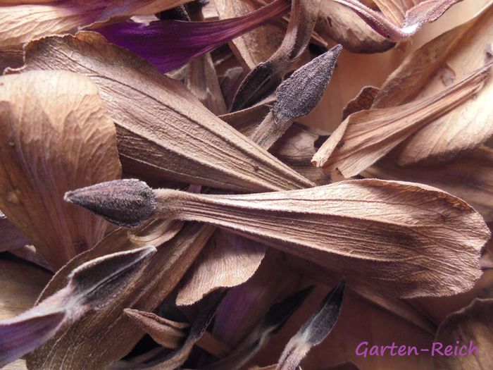 DSC02290 - Detalii-Details