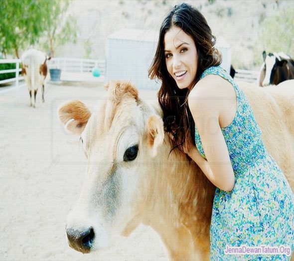 》 [26.11] *intra cu o vaca in casa; ii pune o galeata sub ugere si o mulge*=)))))