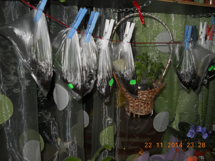 016 - ACHIZITII 2014