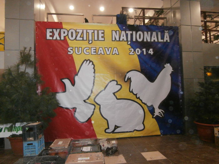 180834 vizite - S-Album 1 Expozitie Nationala a Romaniei Suceava 2014