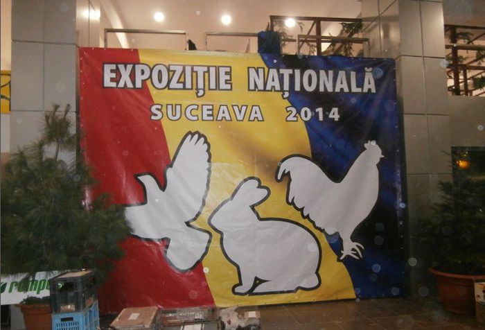 1 - u EXPO NATIONALA SUCEAVA 2014