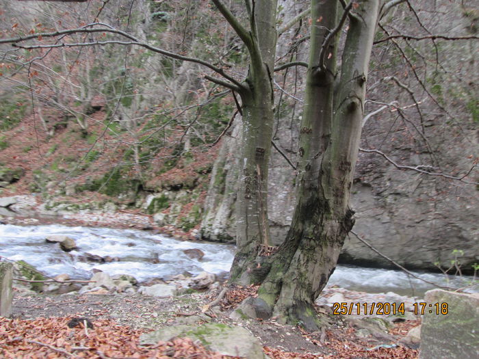 IMG_9679 - Noiembrie la munte