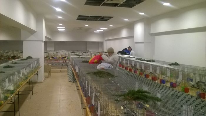 WP_20141127_012 - Expozitia Nationala Suceava 28-30 noiembrie 2014