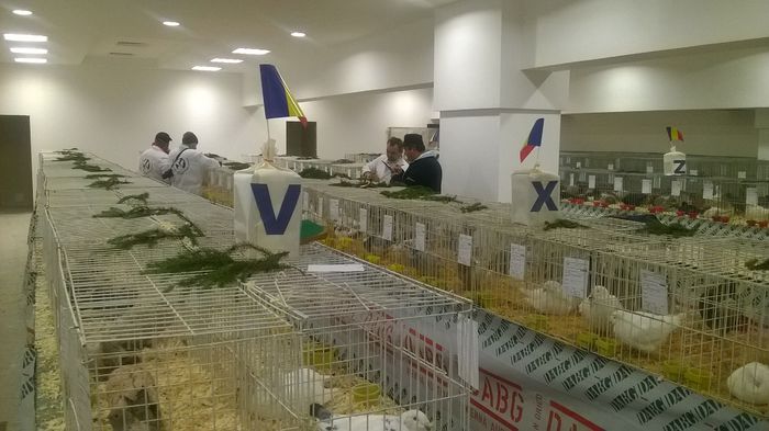 WP_20141127_017 - Expozitia Nationala Suceava 28-30 noiembrie 2014