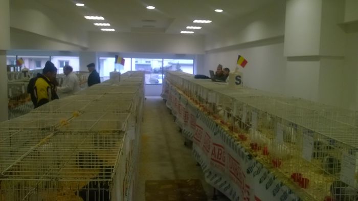 WP_20141127_018 - Expozitia Nationala Suceava 28-30 noiembrie 2014