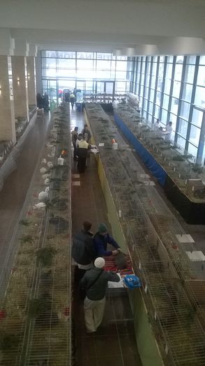 WP_20141127_015 - Expozitia Nationala Suceava 28-30 noiembrie 2014