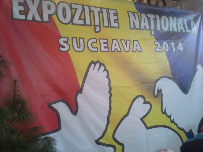 Foarte bine organizata aceasta expozitie! - 8 EXPOZIȚIA NAȚIONALĂ SUCEAVA 2014