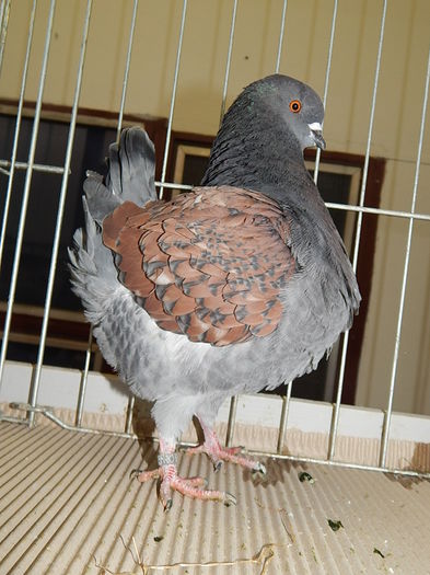 DSCN7962
