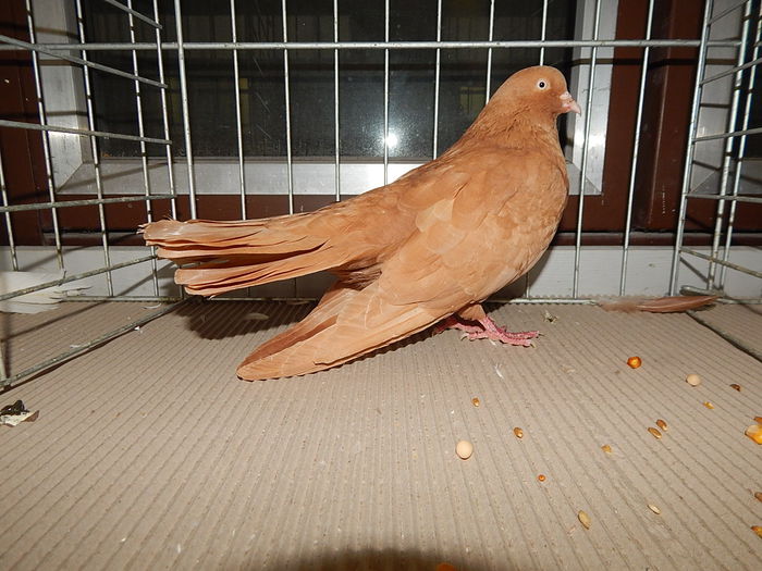 DSCN7981