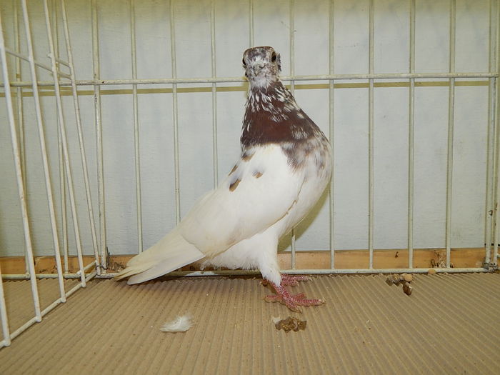 DSCN8045