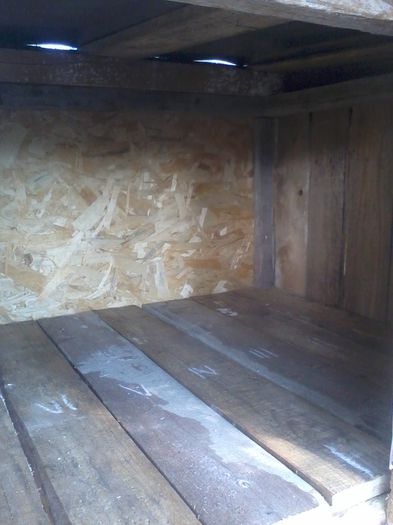 foarte mult spatiu..... - custile urecheatilor