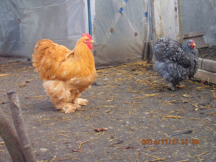 10830965_1568948963338903_2696037689554533152_o