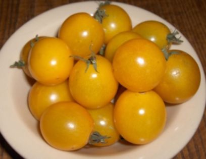 Tomate cherry galbene Cereza Amarilla