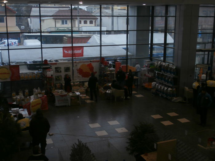 PB280354 - S-Album 1 Expozitie Nationala a Romaniei Suceava 2014