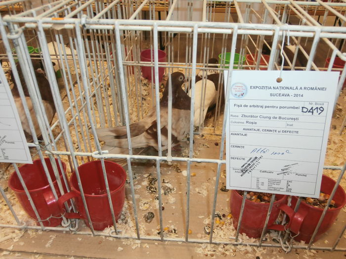 PB280525 - S-Album 2 Expozitie Nationala a Romaniei Suceava 2014