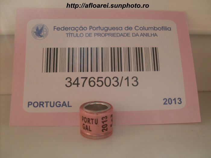 portugal 2013 - PORTUGALIA-PORTUGAL