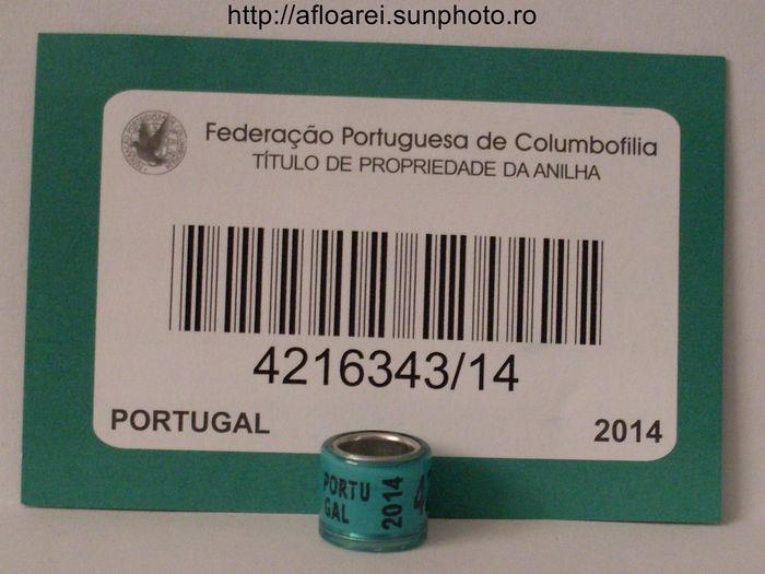 portugal 2014 - PORTUGALIA-PORTUGAL