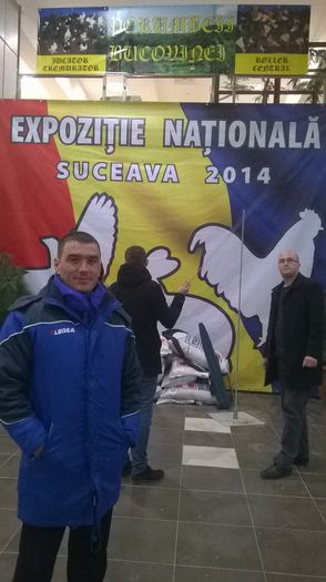 WP_20141127_007 - CAMPION NATIONAL Suceava 2014 Orpington Galben M