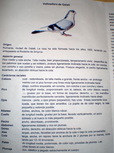 P1010216 - Talavera 2014
