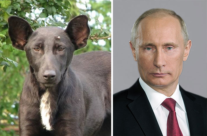 ...Vladimir Putin