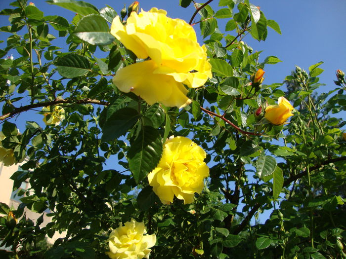DSC08211