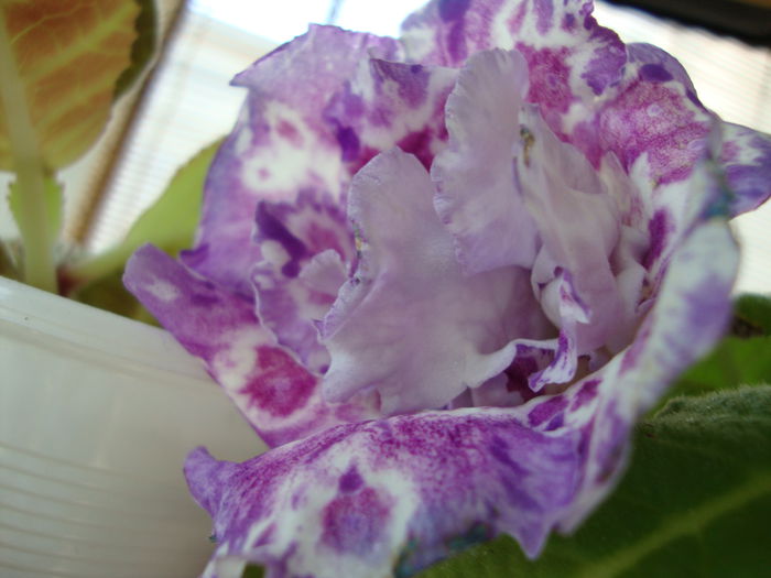 DSC08247