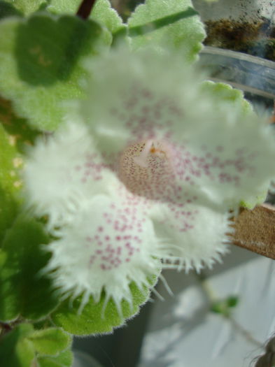 DSC08256