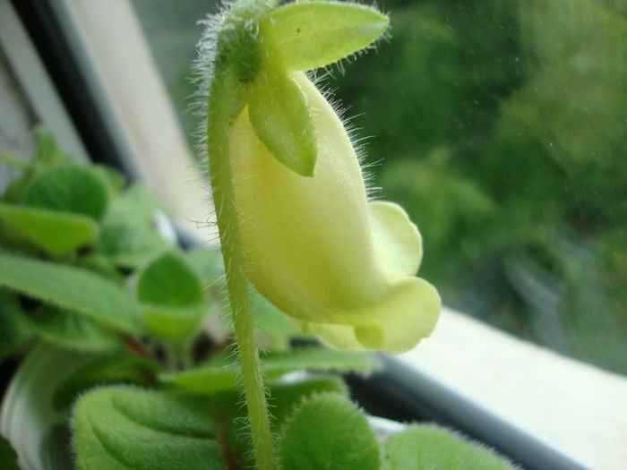 DSC08275 - 1R Album 2014