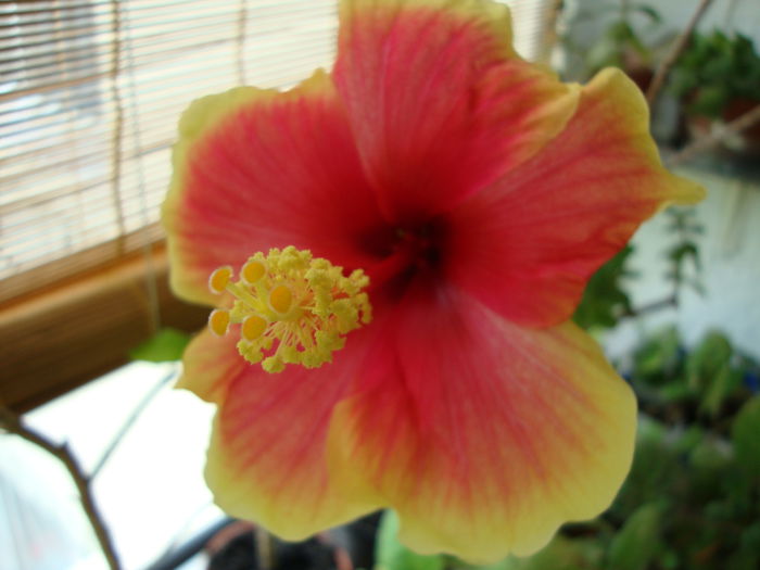 DSC08299 - 1R Album 2014