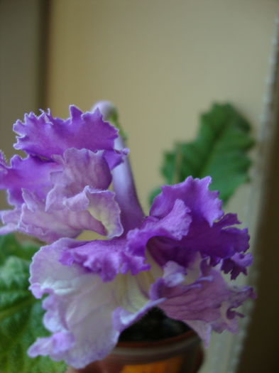 DSC08329 - 1R Album 2014