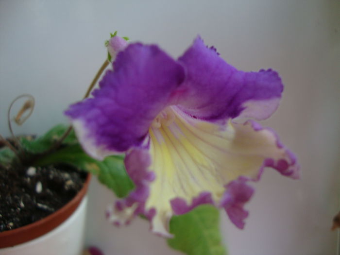 DSC08337 - 1R Album 2014