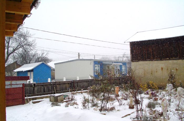 IMG_0282 - Gradina de la tara -2014