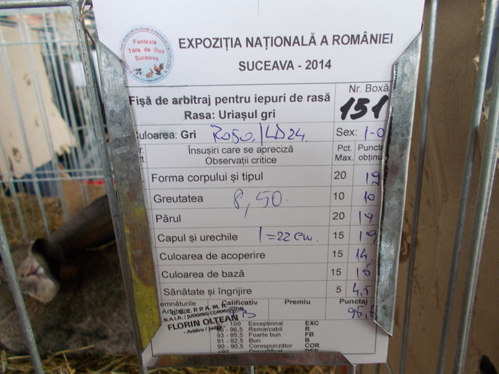 DSCN0042 - Expozitia nationala Suceava