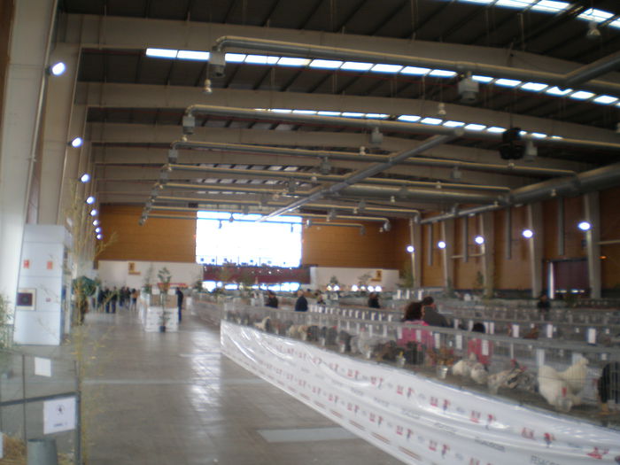 P1010102