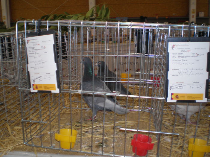 P1010026