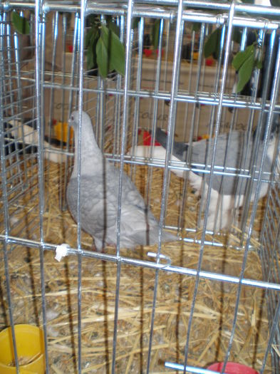 P1010031
