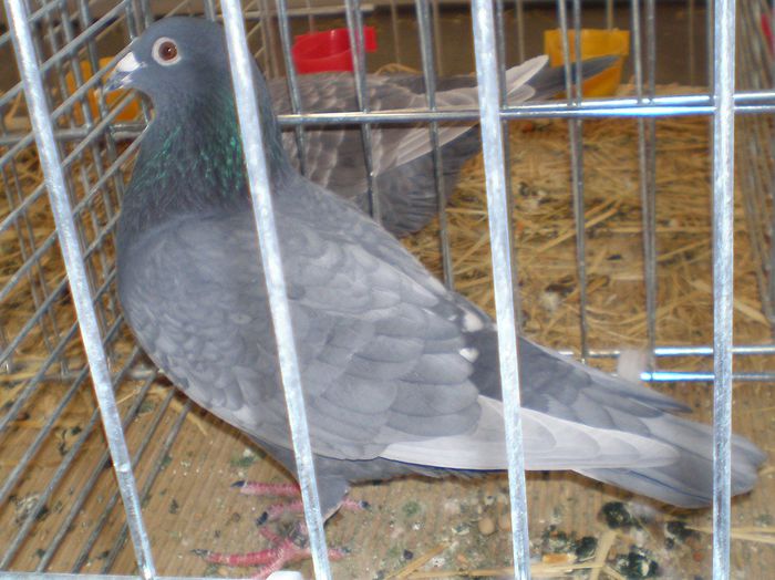 P1010046