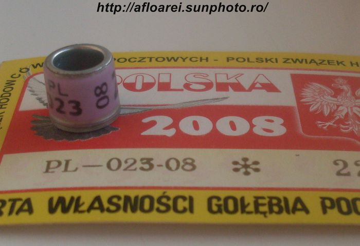 pl 08 - POLONIA -PL