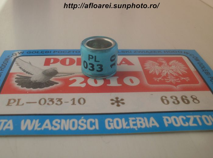 PL 10 - POLONIA -PL