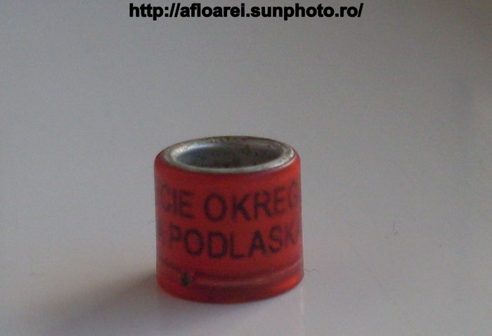 xx-lecie okregu biala podlasca - inele colectie-Pigeon Rings Collection