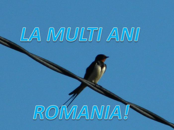 6 - 1 LA_MULTI_ANI_ROMANIA