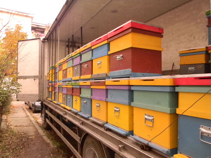 DSCN5996; Autocamion interior stupi etajati
