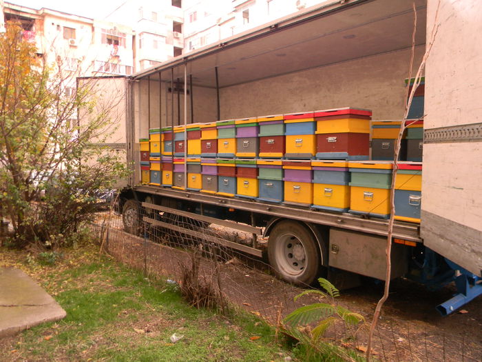 DSCN5999; Autocamion interior stupi etajati
