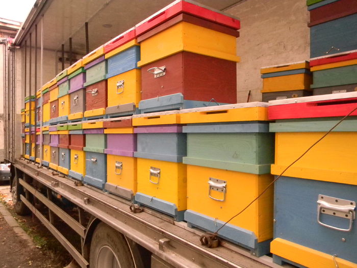 DSCN6004; Autocamion interior stupi etajati
