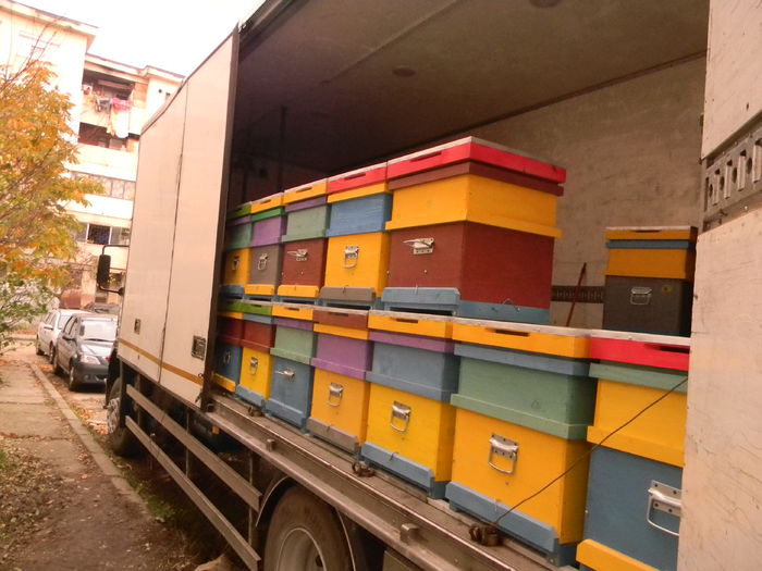 DSCN6006; Autocamion interior stupi
