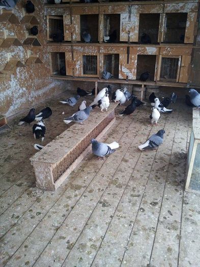 received_875840039101711