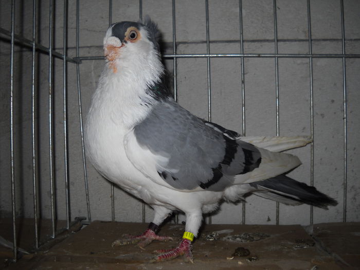 DSCN0104