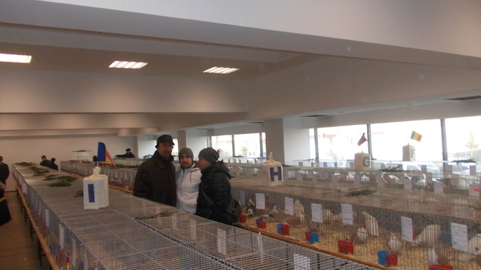 DSCN2654 - poze expozitie suceava 2014